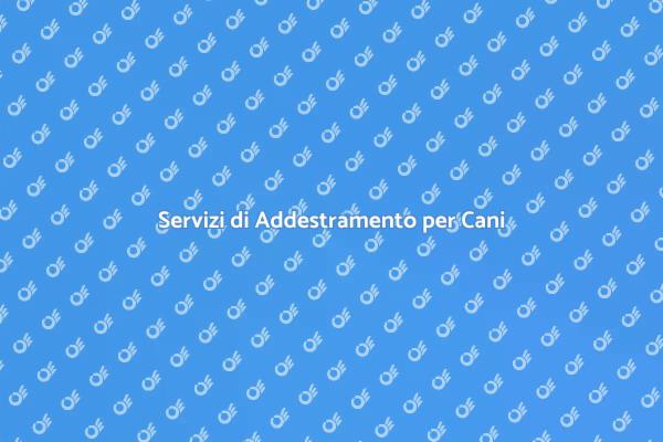 Perché Scegliere un Addestratore Professionista