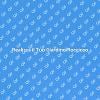 Il Tuo Giardino Roccioso Ideale