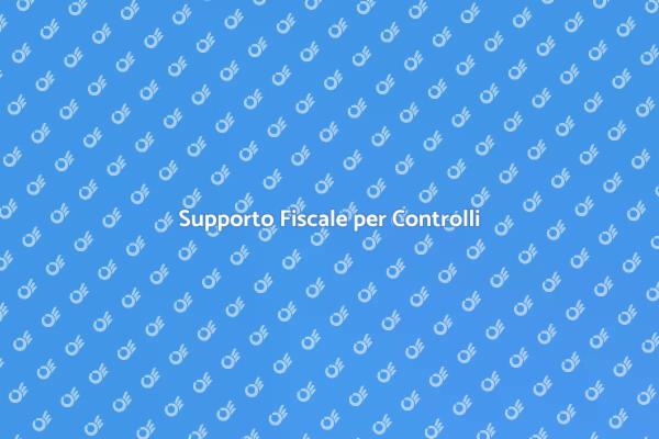 Naviga i Controlli Fiscali con Esperti