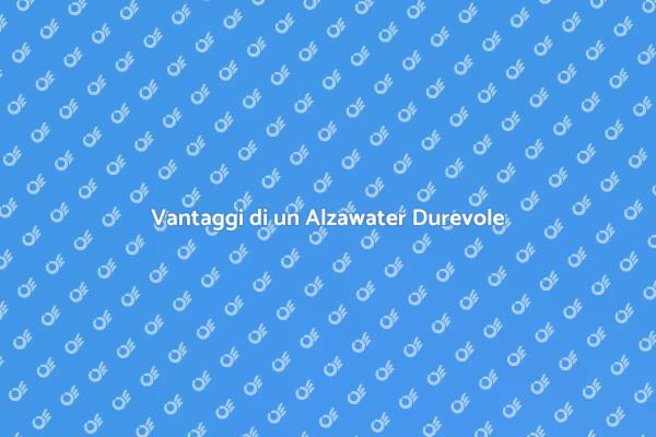 Funzionalità dell'Alzawater Meccanico