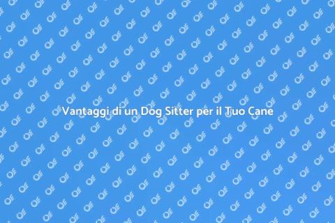 Dog Sitter: Passeggiate Ideali per Cani