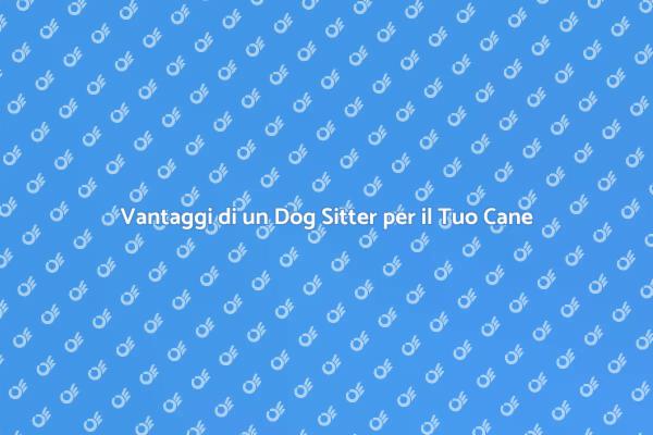 Perché Scegliere un Dog Sitter per Cani