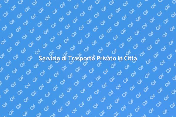 Comodità e Professionalità: Autista Privato