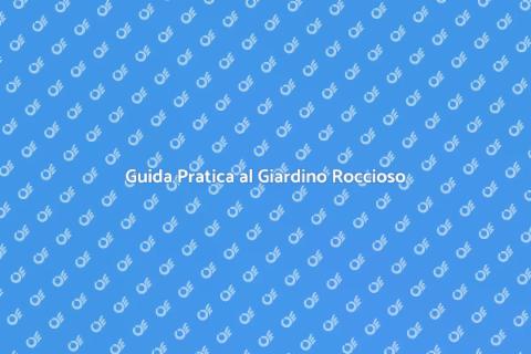 Creare un Giardino Roccioso Fai da Te