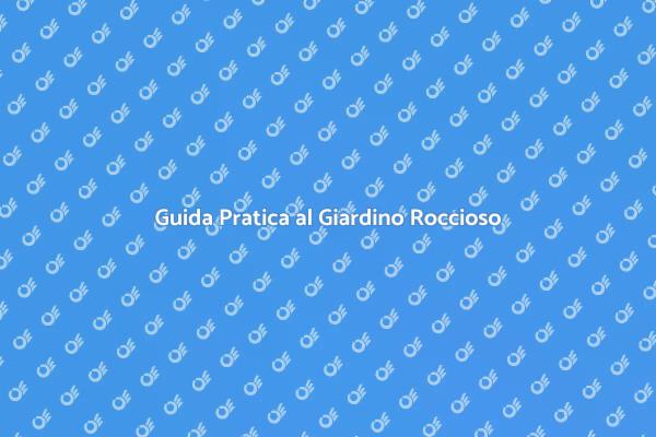 Trasforma il Tuo Giardino con Rocce