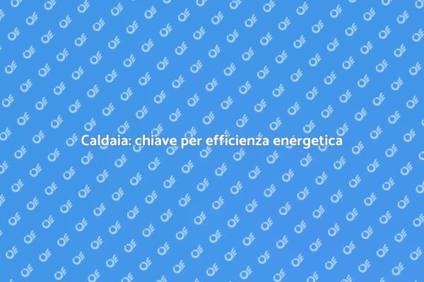 L'importanza della caldaia industriale