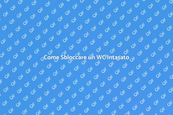 Soluzioni per WC Intasato Facili e Veloci