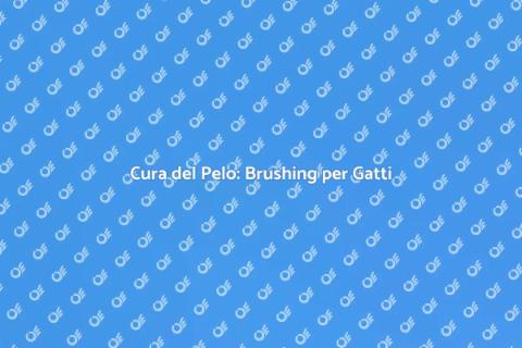 Brushing Professionale per Gatti