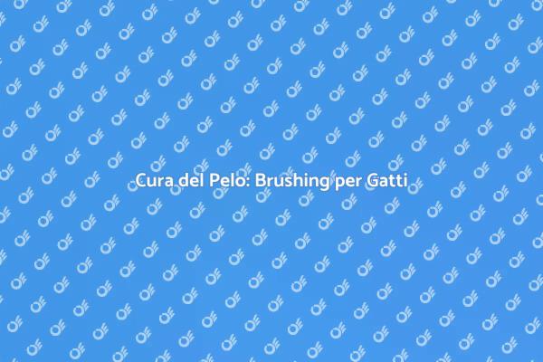 Brushing Professionale: Cura per Gatti