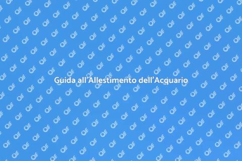 Allestire un Nuovo Acquario