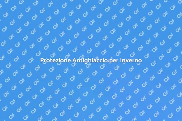 Affronta il Gelo con Sicurezza