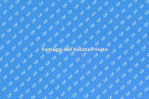 Autista Privato: Libertà e Comfort