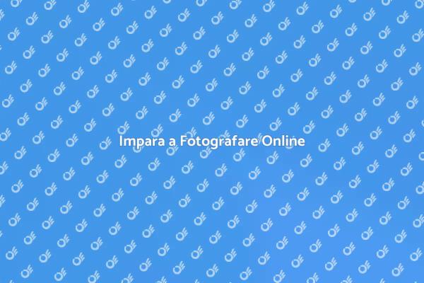 Sviluppa le Tue Abilità Fotografiche