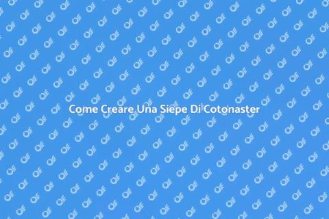 Progettare Siepe Di Cotonaster