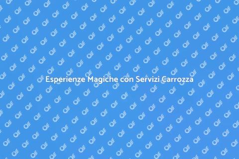 Servizi Carrozza: Un'Esperienza Unica