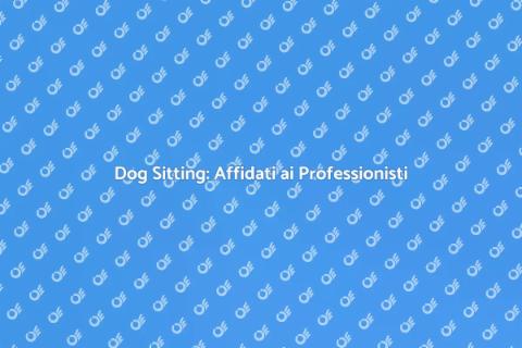 Dog Sitter Esperto per il Tuo Amico