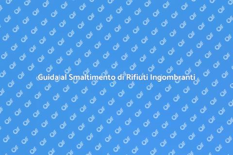 Smaltire Rifiuti Ingombranti Facile