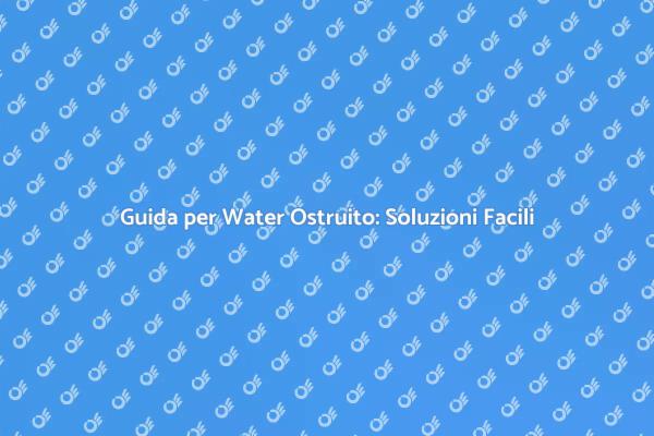 Come Risolvere il Water Ostruito