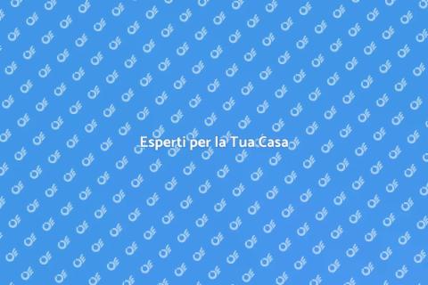 Trova il Professionista Giusto
