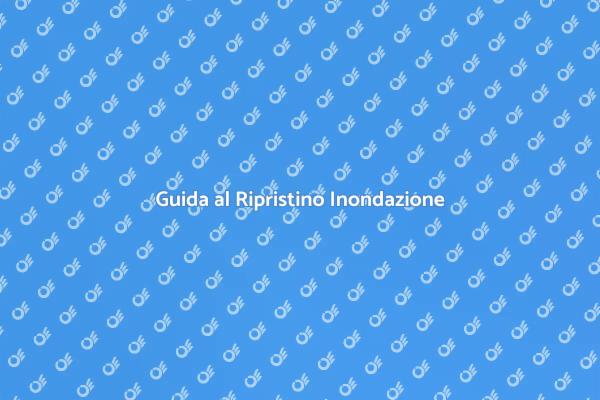 Ripristina la tua casa dopo un'inondazione