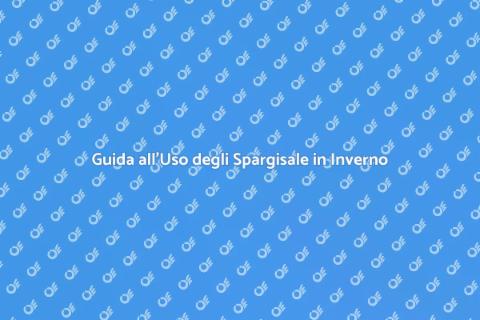 Utilizzo Efficace degli Spargisale
