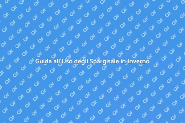 Guida Pratica agli Spargisale Invernali