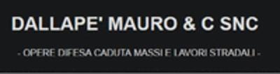 Opere Difesa Caduta Massi e Lavori Edili Dallape' Mauro e C.  - Foto 1