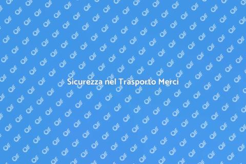 Controllo Carichi per Autisti