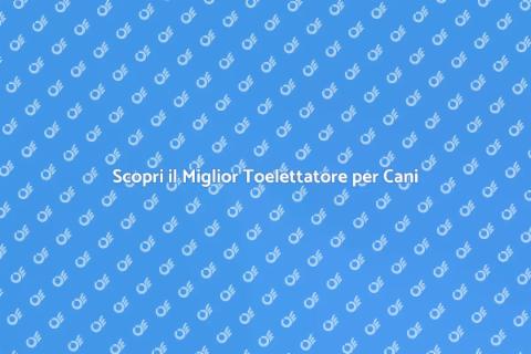 Toelettatura Professionale per Cani