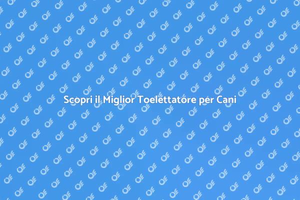 Perché Scegliere un Toelettatore Esperto?