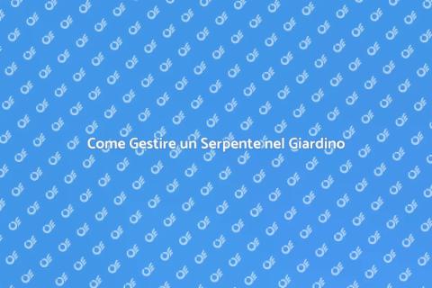 Rimuovere un Serpente: Guida Pratica