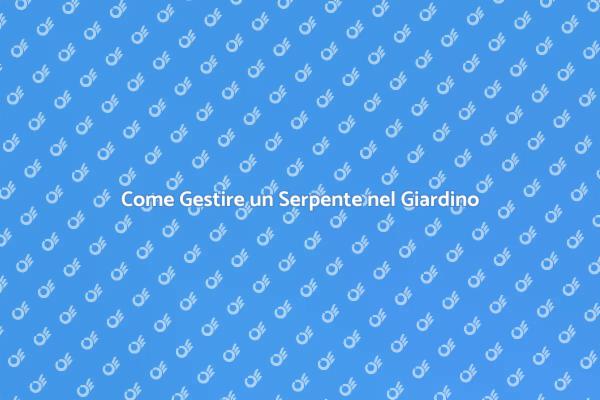 Rimozione Sicura di Serpenti in Casa