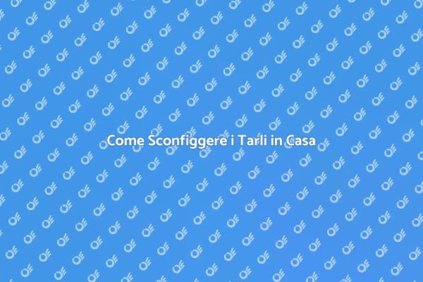 Proteggi i Tuoi Mobili dai Tarli