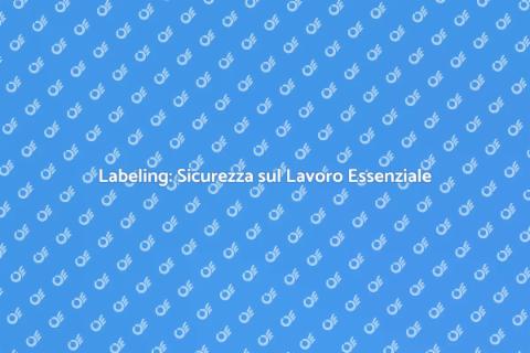 Servizio di Labeling Sicurezza Lavoro