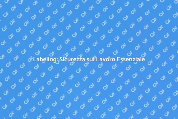 Labeling per Sicurezza: Un Necessario Passo