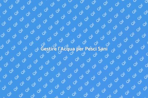 Equilibrio Biologico dell'Acqua