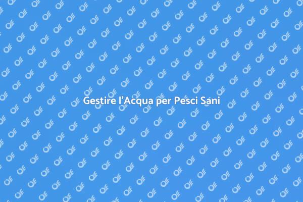 L'Importanza dell'Acqua nell'Acquario