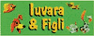 Iuvara Store di Iuvara Marzia  - Foto 1