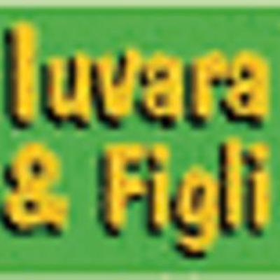 Iuvara Store di Iuvara Marzia