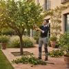 Come Trovare Giardinieri per la Potatura degli Agrumi