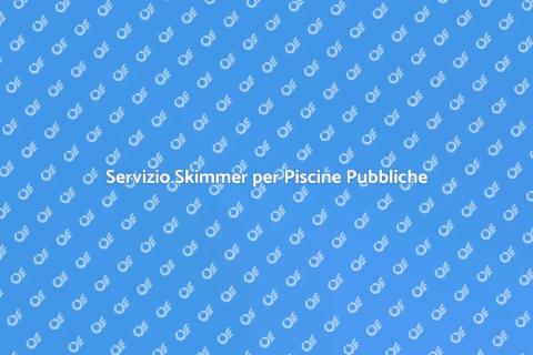 Manutenzione Skimmer per Piscine Pubbliche
