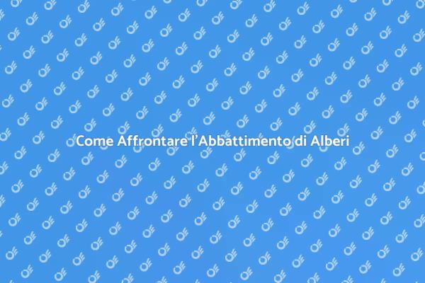 Abbattimento Sicuro di Alberi Grandi