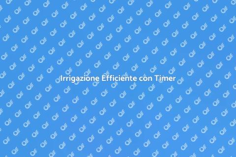 Timer Irrigazione: Risparmio Idrico