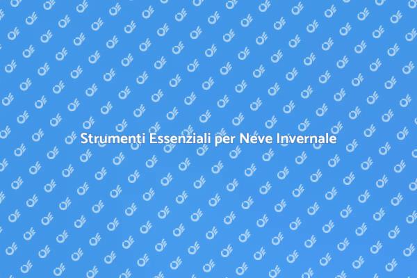 Attrezzatura Invernale per Pulizia Neve
