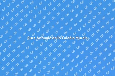 Manutenzione Caldaia Murale Annuale