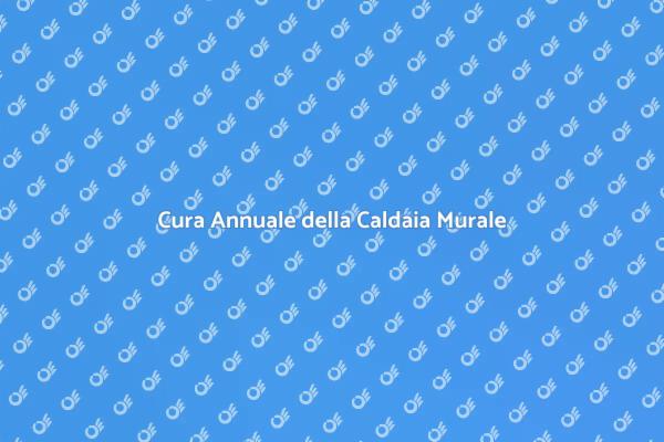 Manutenzione Essenziale della Caldaia