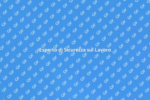 Consulente Sicurezza sul Lavoro