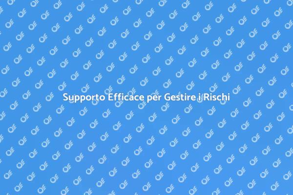 Mitiga i Rischi con Ernesto.it