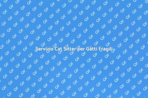Cat Sitter per Gatti Sicuri