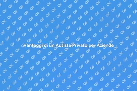 Autista Privato per Trasporti Aziendali